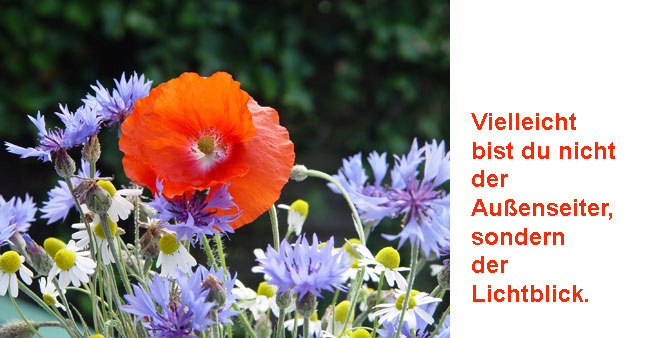 Rote Bl&uuml;te mit Text:  Vielleicht bist du nicht der Au&szlig;enseiter, sondern der Lichtblick.