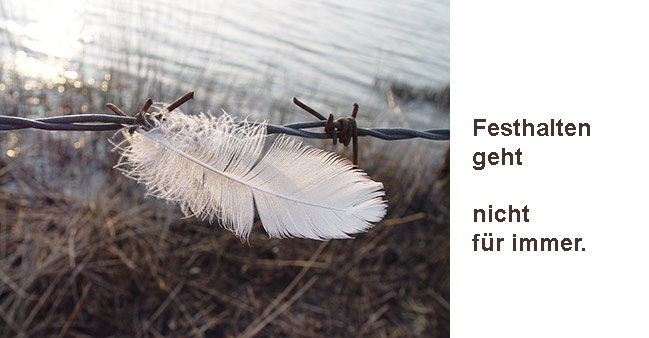 Feder am Stacheldraht mit Text: Festhalten geht nicht f&uuml;r immer.