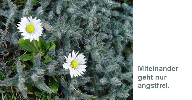 Zwei Bl&uuml;ten im Gestr&uuml;pp mit Text: Miteinander geht nur angstfrei.