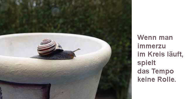 Schnecke auf Blumentopf mit Text: Wenn man immerzu im Kreis l&auml;uft, spielt das Tempo keine Rolle.