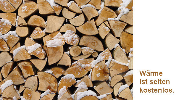 Brennholz mit Schnee mit Text: W&auml;rme ist selten kostenlos.