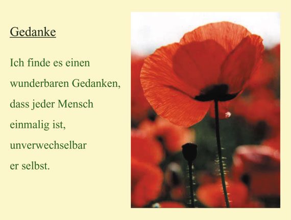 Mohn